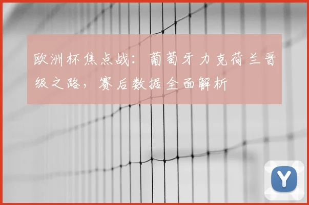 欧洲杯焦点战：葡萄牙力克荷兰晋级之路，赛后数据全面解析