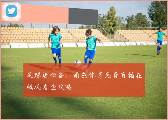 足球迷必备：雨燕体育免费直播在线观看全攻略